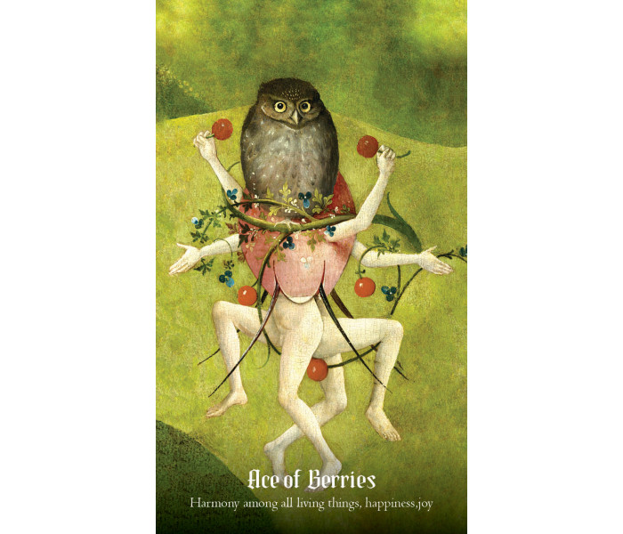 Таро Ієроніма Босха - Hieronymus Bosch Tarot Cards. Rockpool Publishing