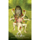 Таро Ієроніма Босха - Hieronymus Bosch Tarot Cards. Rockpool Publishing