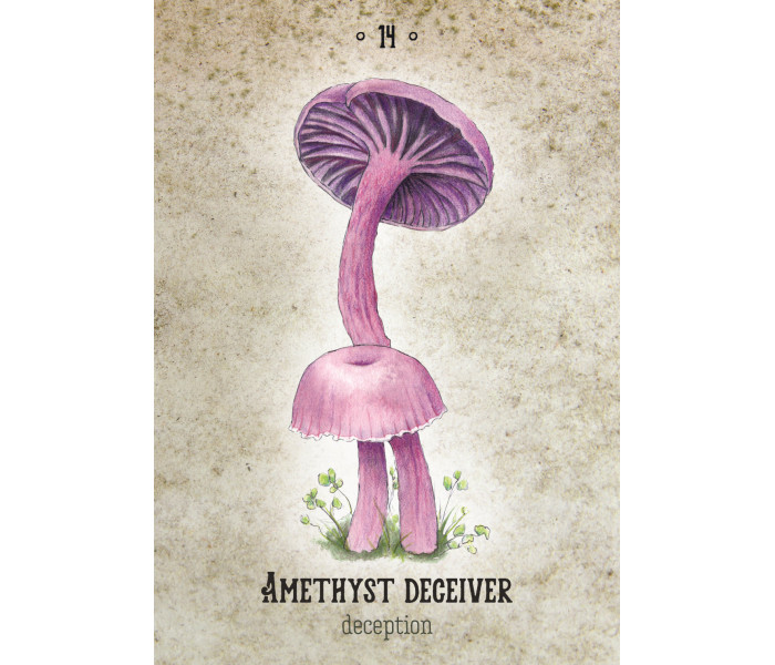 Оракул Грибного Духа - Mushroom Spirit Oracle Cards. Rockpool Publishing