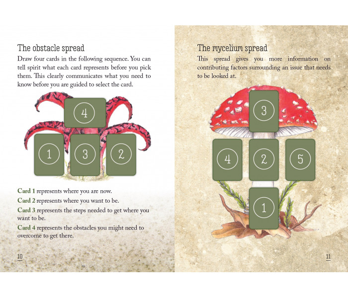 Оракул Грибного Духа - Mushroom Spirit Oracle Cards. Rockpool Publishing