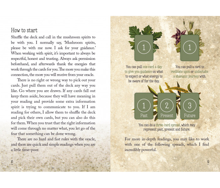 Оракул Грибного Духа - Mushroom Spirit Oracle Cards. Rockpool Publishing