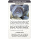Кристалічні карти з посланнями - Crystal Message Cards. US Games Systems