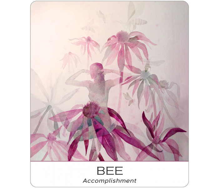 Карти Природа І Душа - Nature and Soul Yoga Wisdom Cards. US Games Systems