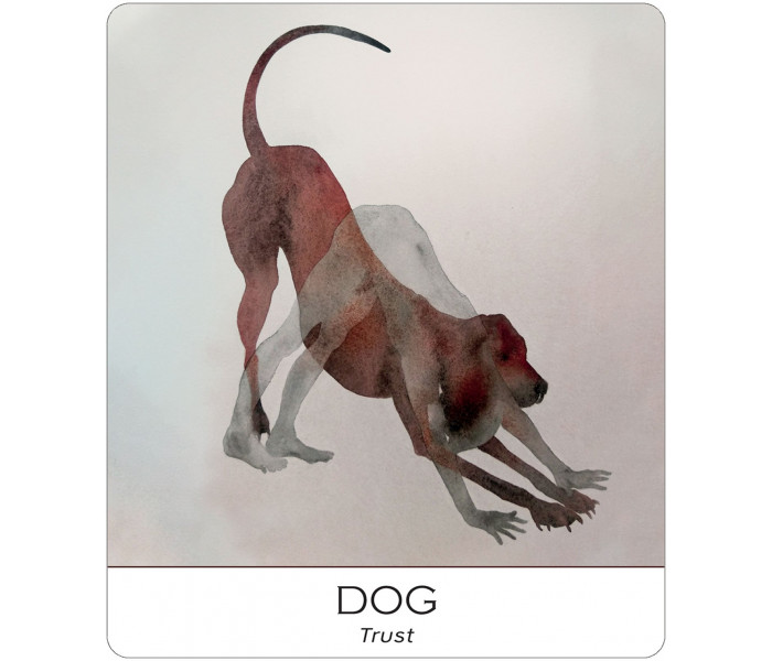 Карти Природа І Душа - Nature and Soul Yoga Wisdom Cards. US Games Systems