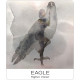 Карти Природа І Душа - Nature and Soul Yoga Wisdom Cards. US Games Systems
