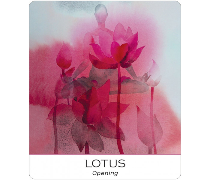 Карти Природа І Душа - Nature and Soul Yoga Wisdom Cards. US Games Systems