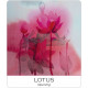 Карти Природа І Душа - Nature and Soul Yoga Wisdom Cards. US Games Systems