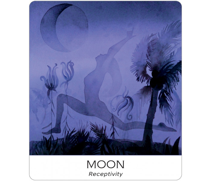 Карти Природа І Душа - Nature and Soul Yoga Wisdom Cards. US Games Systems