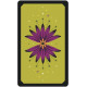 Таємний Оракул Ззеленої Відьми - The Secret Oracle of the Green Witch Cards. US Games Systems