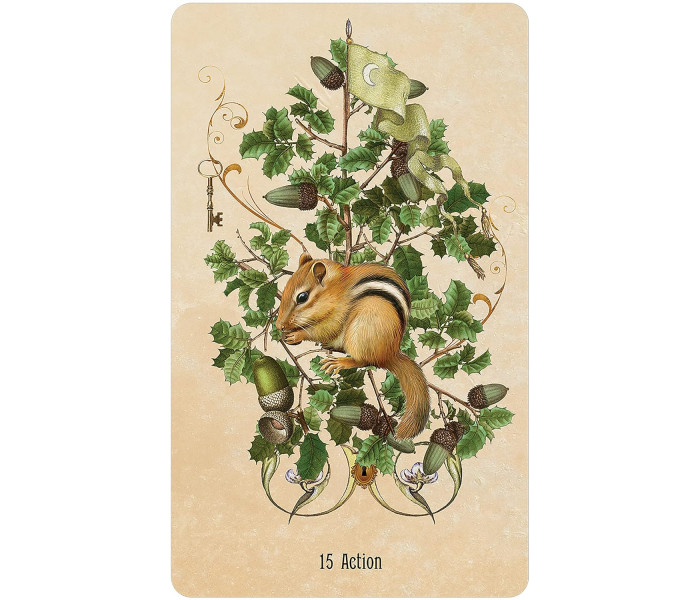Оракул Розгадка Таємного Саду - Unlocking the Secret Garden Oracle Cards. US Games Systems