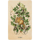Оракул Розгадка Таємного Саду - Unlocking the Secret Garden Oracle Cards. US Games Systems