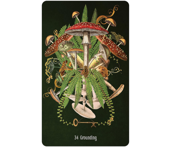 Оракул Розгадка Таємного Саду - Unlocking the Secret Garden Oracle Cards. US Games Systems