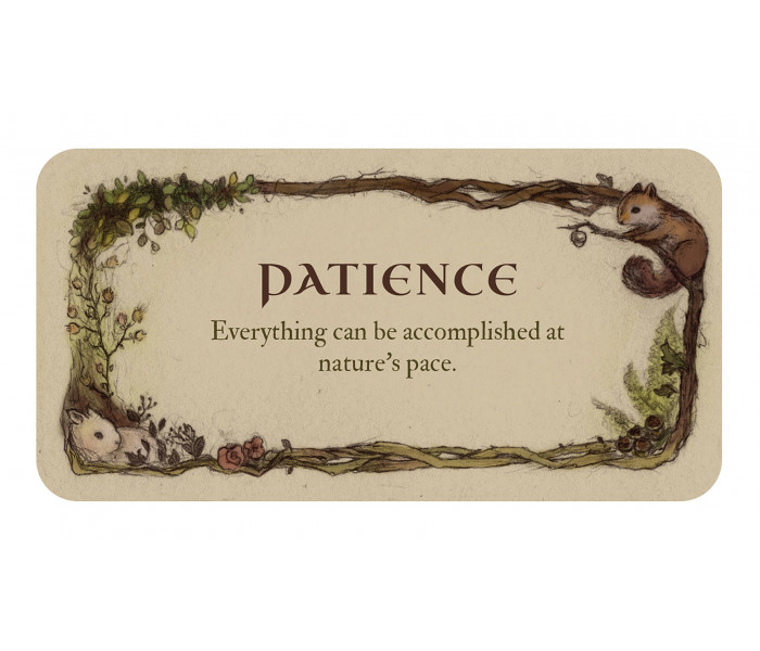 Надихаючі карти "Шепітливі ліси" - Inspirational Whispering Woods Cards. US Games Systems