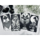 Преміум Таро Сила Олімпу - The Power of Olympus Tarot Premium Deck. Sunstelo