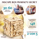 Головоломка квест-бокс Pharaoh’s Secret. Inscape