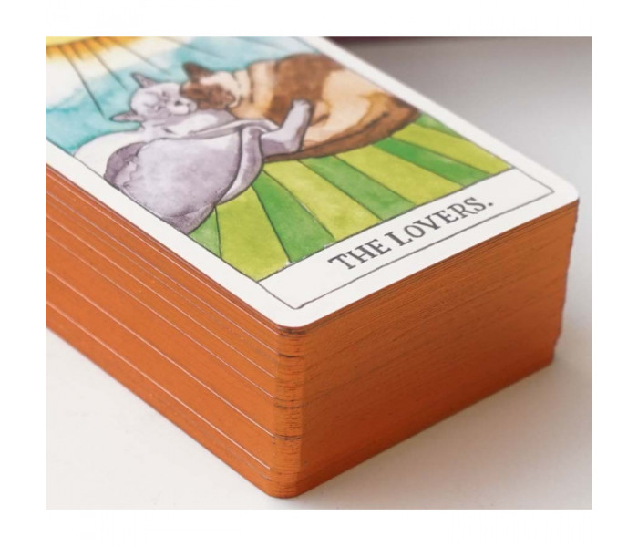 Таро Котів - Cat Tarot in a tin (9420039)
