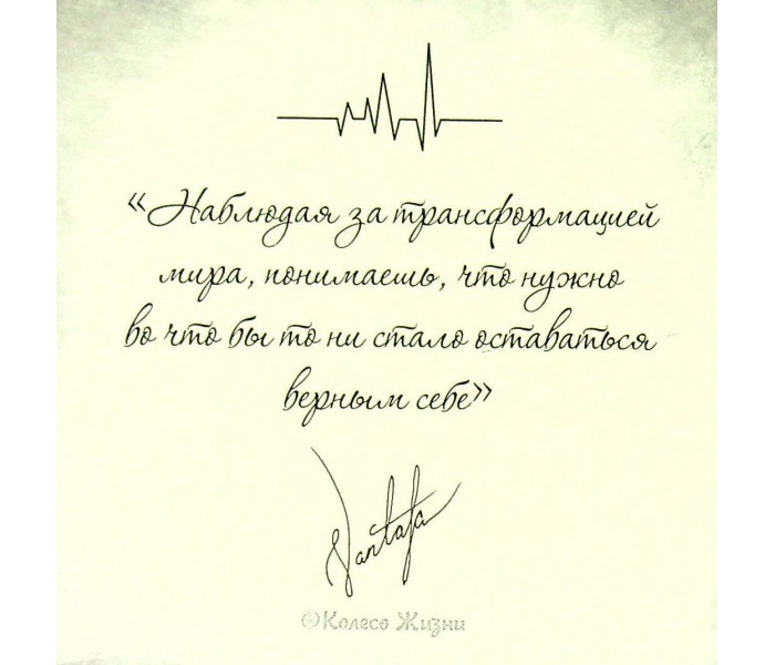МАК Пульс правды (РУС)