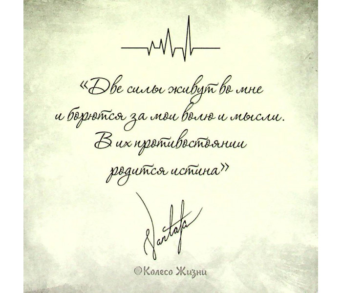 МАК Пульс правды (РУС)