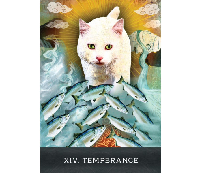 Цікаві Котячі Таро Грималкіна - Grimalkins Curious Cats Tarot (EN)
