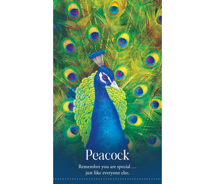 Дикі Сни Тваринного Оракула - Wild Dreams Animal Oracle. Blue Angel 