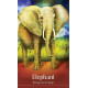 Дикі Сни Тваринного Оракула - Wild Dreams Animal Oracle. Blue Angel 