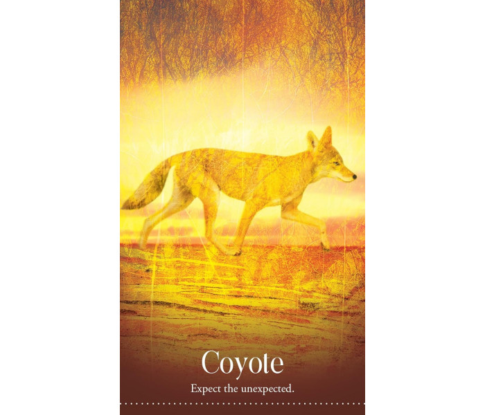 Дикі Сни Тваринного Оракула - Wild Dreams Animal Oracle. Blue Angel 