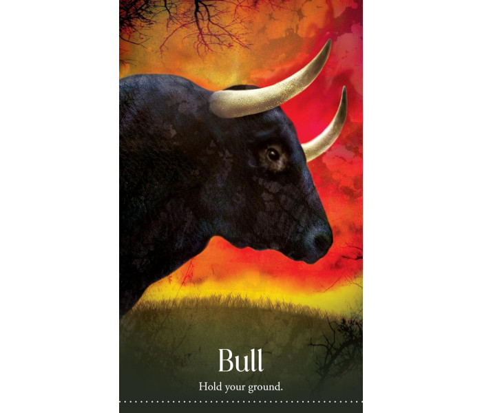 Дикі Сни Тваринного Оракула - Wild Dreams Animal Oracle. Blue Angel 