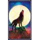 Дикі Сни Тваринного Оракула - Wild Dreams Animal Oracle. Blue Angel 