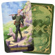 Таро Ведьминого Сада - Tarot of the Witchs Garden. Llewellyn