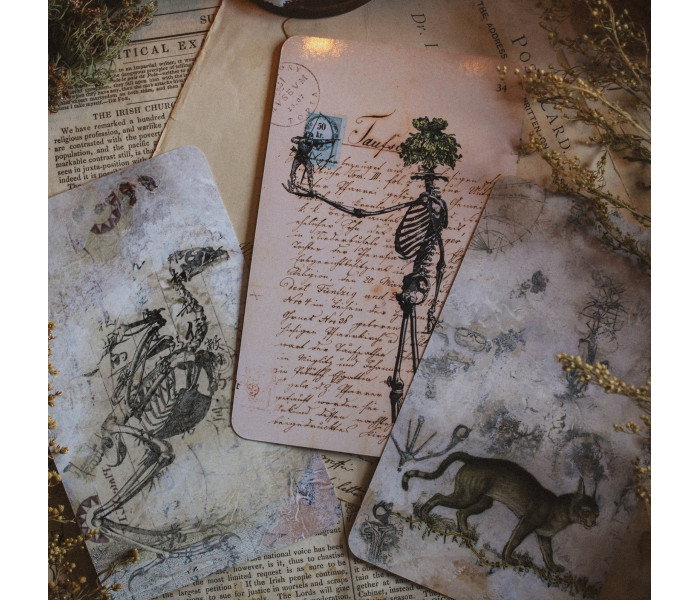 Карты Река: плавание по потоку сознания - The River: Sailing the Stream of Consciousness Cards. Llewellyn