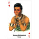 Индейские Игральные Карты - Native American Playing Cards. US Games Systems