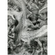 Книга Чайка Джонатан Ливингстон. Впервые-с ранее неизданной четвертой частью! Ричард Бах