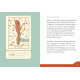 Марсельське Таро Кальмарів - Squid Cake Marseille Tarot. Rockpool Publishing