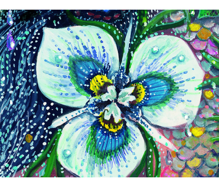 Карточки с аффирмациями "Водные благословения" - Water Blessings: Affirmation Cards. Rockpool Publishing
