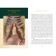 Оракул Кельтських Богинь, Відьом І Королев - Celtic Goddesses, Witches, and Queens Oracle. Schiffer Publishing