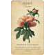 Колода Карт Ботанічне Натхнення - Botanical Inspirations Deck & Book Set. U.S. Games System