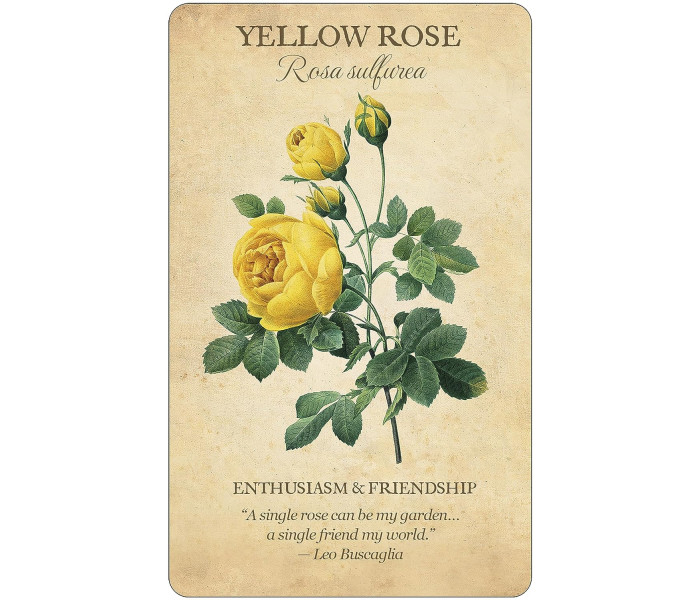 Колода Карт Ботанічне Натхнення - Botanical Inspirations Deck & Book Set. U.S. Games System