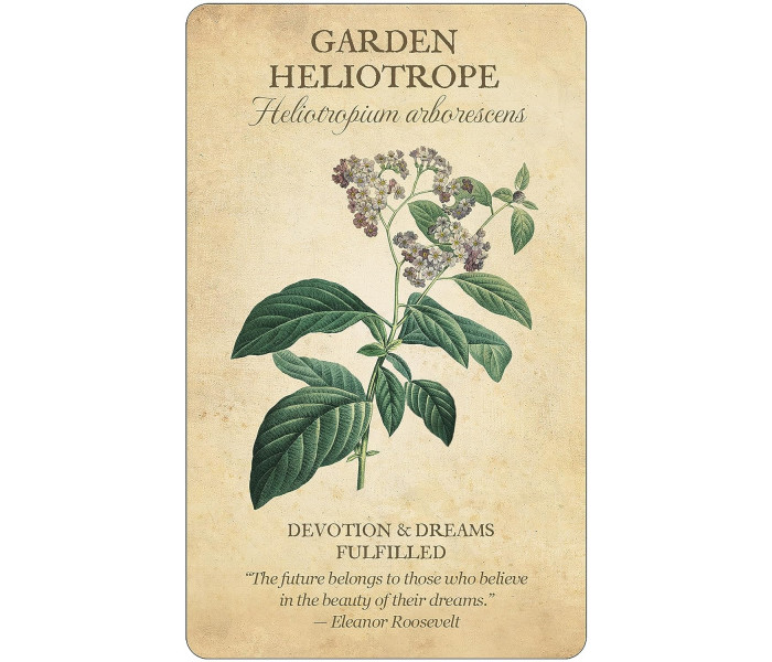Колода Карт Ботанічне Натхнення - Botanical Inspirations Deck & Book Set. U.S. Games System
