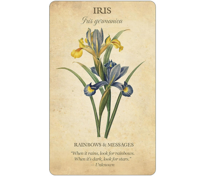 Колода Карт Ботанічне Натхнення - Botanical Inspirations Deck & Book Set. U.S. Games System