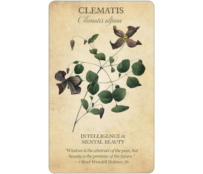 Колода Карт Ботанічне Натхнення - Botanical Inspirations Deck & Book Set. U.S. Games System