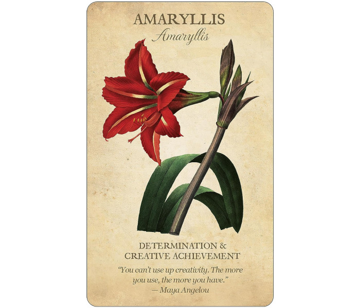 Колода Карт Ботанічне Натхнення - Botanical Inspirations Deck & Book Set. U.S. Games System