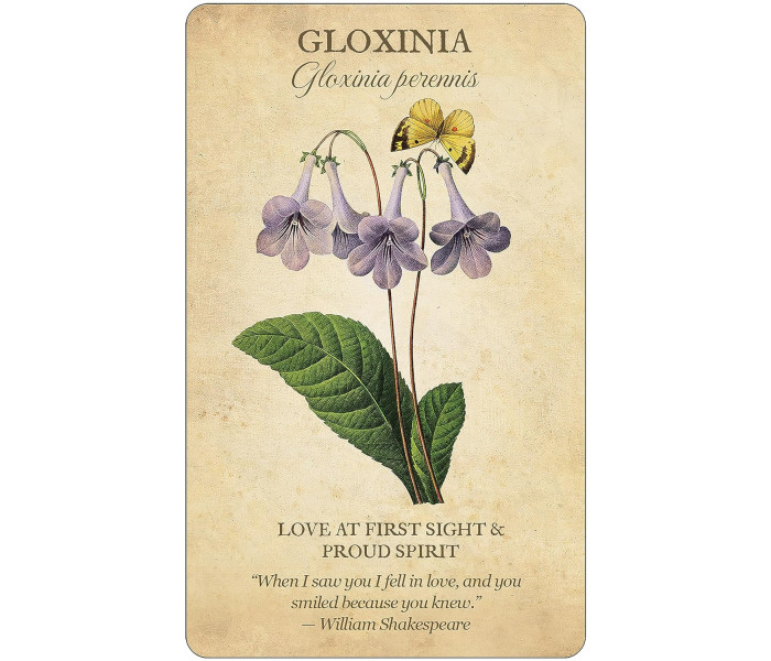 Колода Карт Ботанічне Натхнення - Botanical Inspirations Deck & Book Set. U.S. Games System