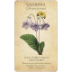 Колода Карт Ботанічне Натхнення - Botanical Inspirations Deck & Book Set. U.S. Games System
