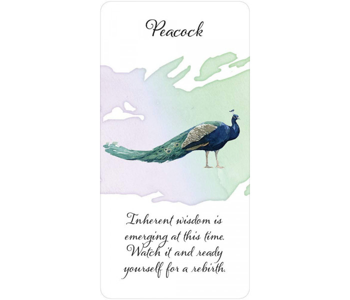 Карти Повідомлення Божественного Пера - Divine Feather Messenger Cards. U.S. Games System
