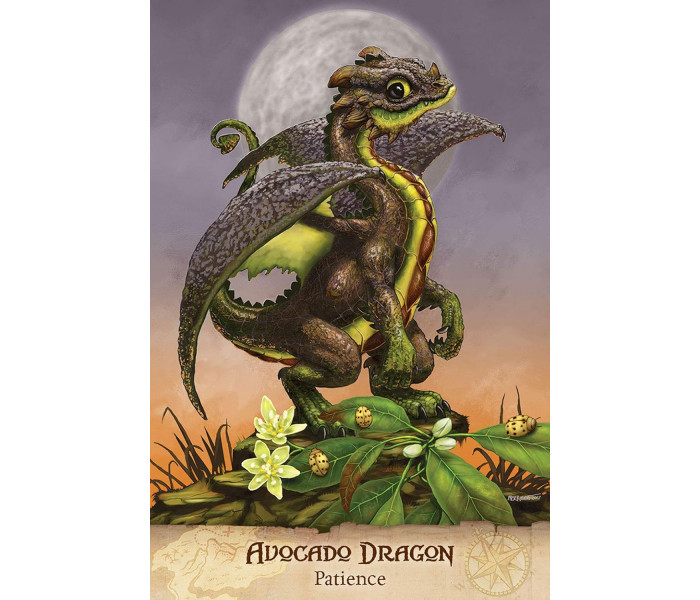 Карти Путівника Садових Драконів - Field Guide to Garden Dragons Cards. U.S. Games System