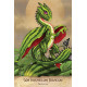 Карти Путівника Садових Драконів - Field Guide to Garden Dragons Cards. U.S. Games System