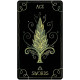 Фольклорне Таро - Folklore Tarot. U.S. Games System
