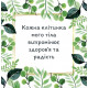 Метафорические карты «Мои позитивные установки» (УКР). Квитка Наталья