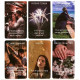 Карти передбачення: Любовне послання - Prediction Cards: Love Message. China