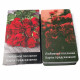 Карти передбачення: Любовне послання - Prediction Cards: Love Message. China